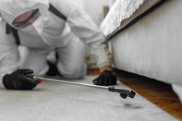 Professional Bed Bug Control technician working in Muskogee, OK