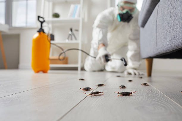 Trusted Rodent Control service in Muskogee, OK - Nex Pest Control