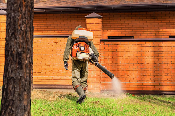 Trusted Termite Control service in Muskogee, OK - Nex Pest Control